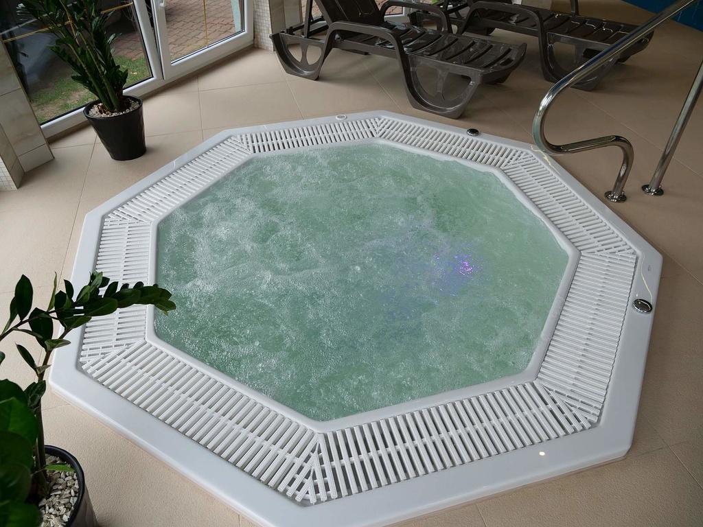Pensjonat Spa U Tomasza Нехоже Экстерьер фото